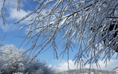 Moving with Winter Weather Woes