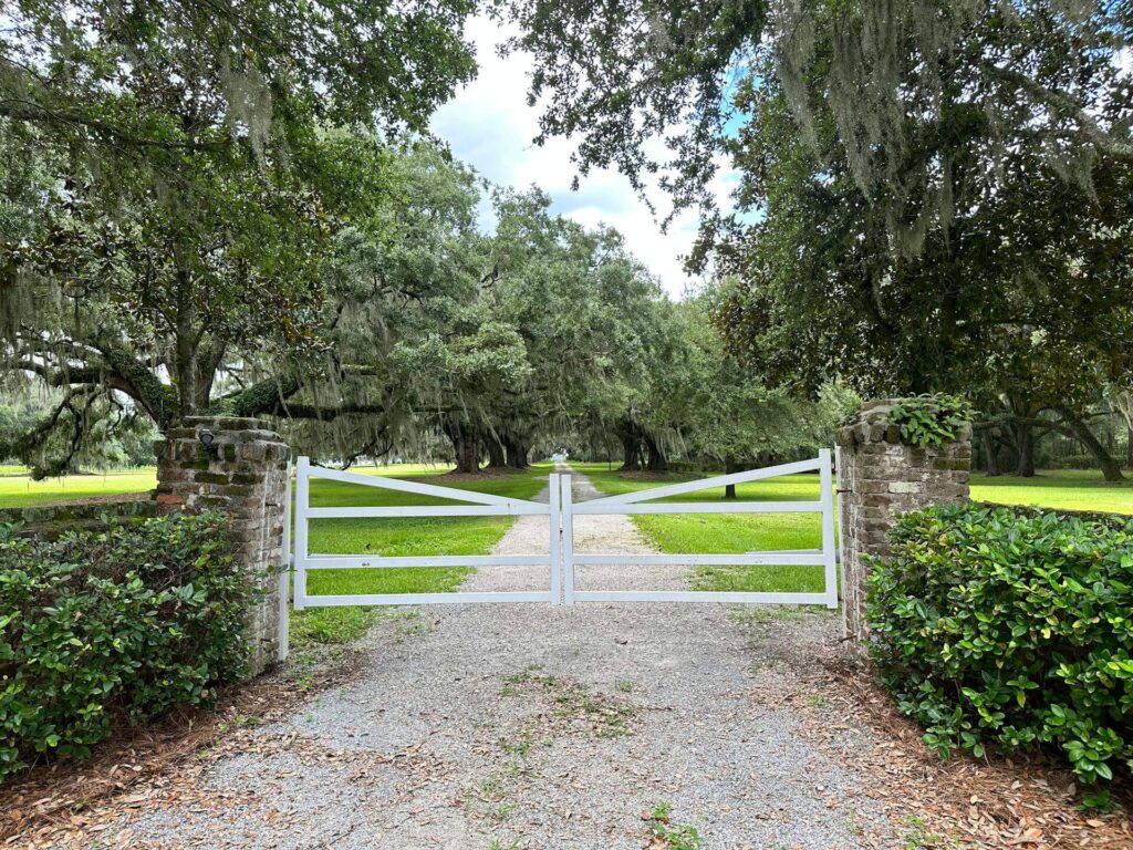 South Carolina Forest House Image