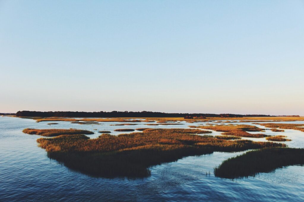 Folly Beach Mount Pleasant Charleston SC Image