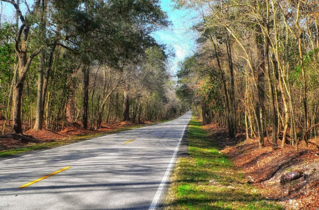 South Carolina Country Road Irmo