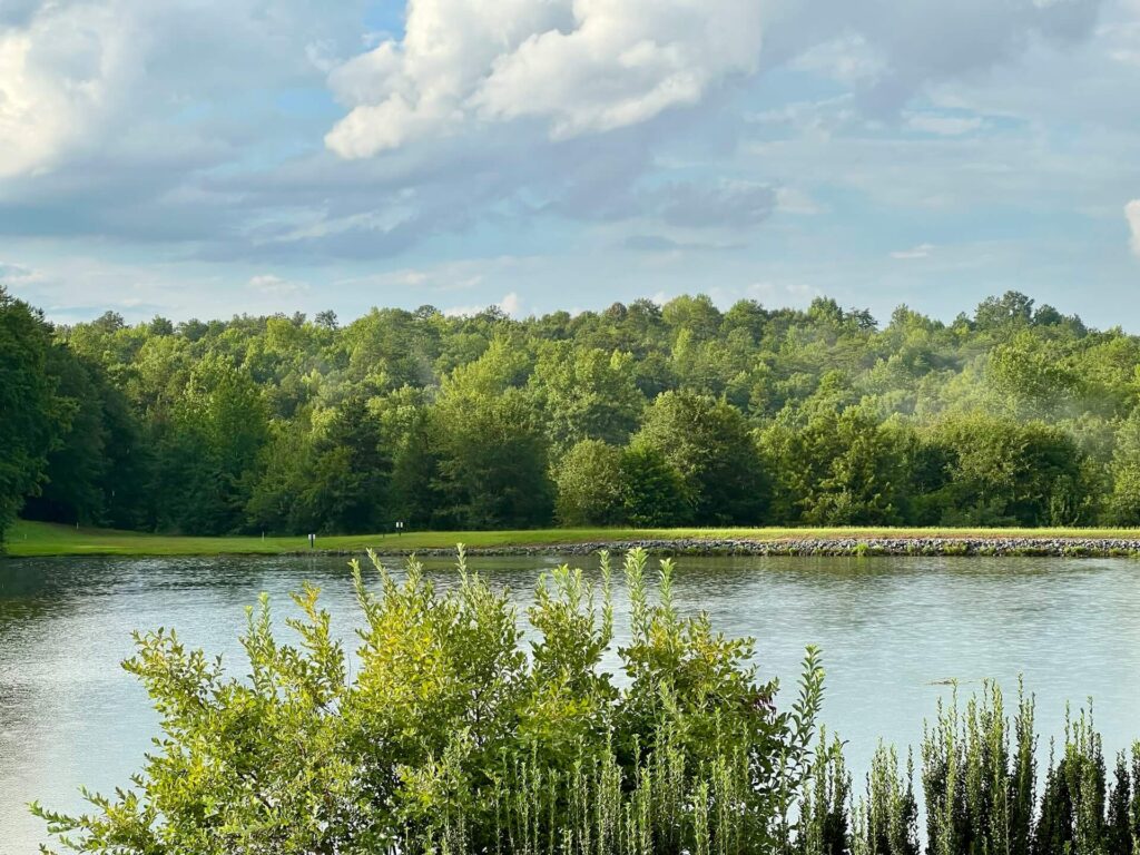 South Carolina Lake Image