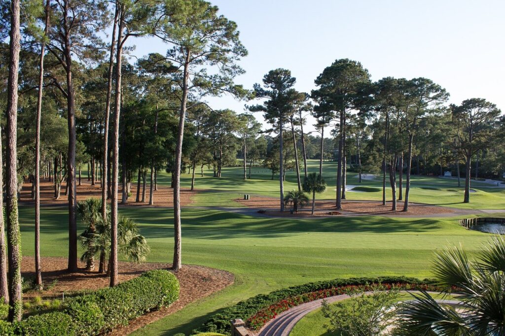 Summerville Charleston SC Golf Course Image