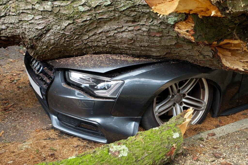 Tree Falling on Car MA Website Image Home Repairs