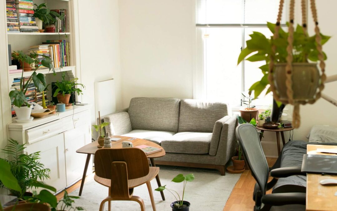 Maximizing Space in a Small Apartment